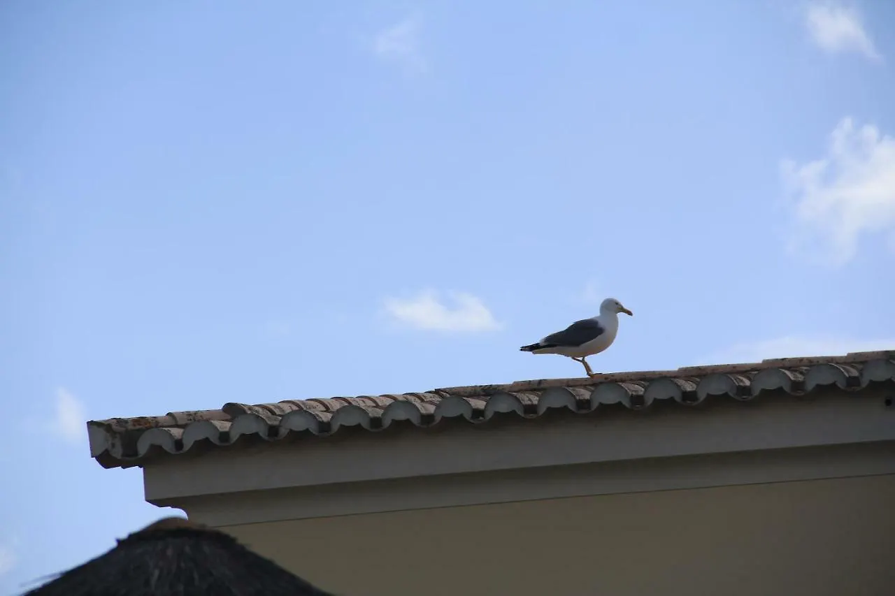 Palmeiras Reais 110 - 1Dto Apartment Portimao